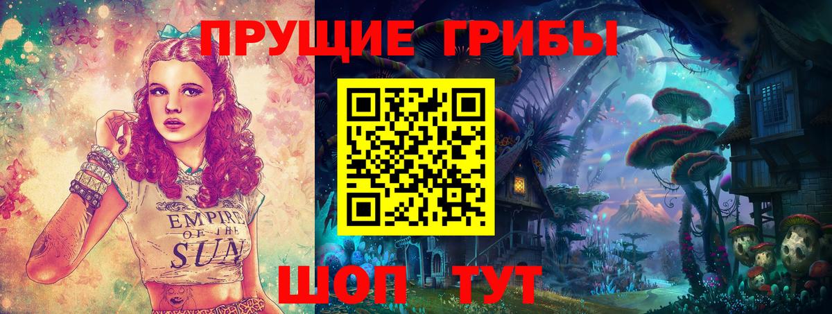Псилоцибиновые грибы Psilocybine cubensis  где купить наркоту  Вход с VPN  Волгодонск  Псилоцибиновые грибы прущие грибы 